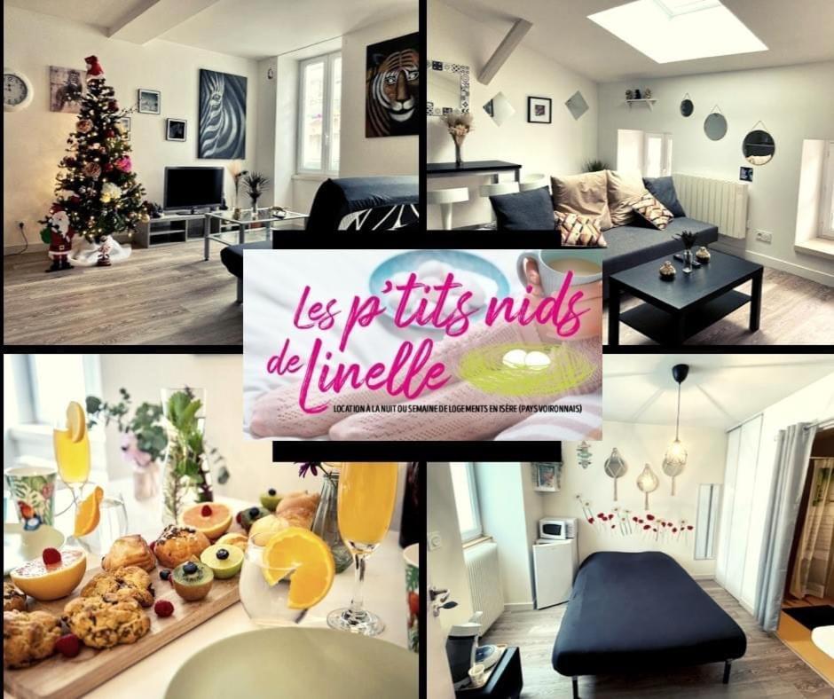 Le Mini Nid, Acces Terrasse De L'etablissement Apartment Rives (Isere)